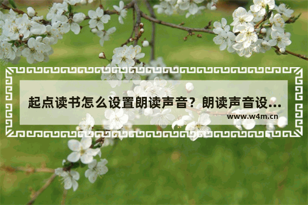 起点读书怎么设置朗读声音？朗读声音设置步骤分享