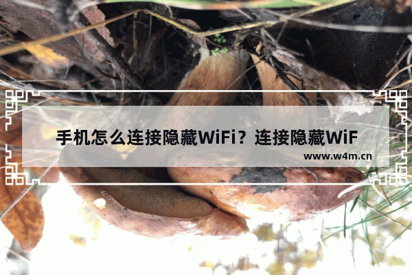 手机怎么连接隐藏WiFi？连接隐藏WiFi步骤说明