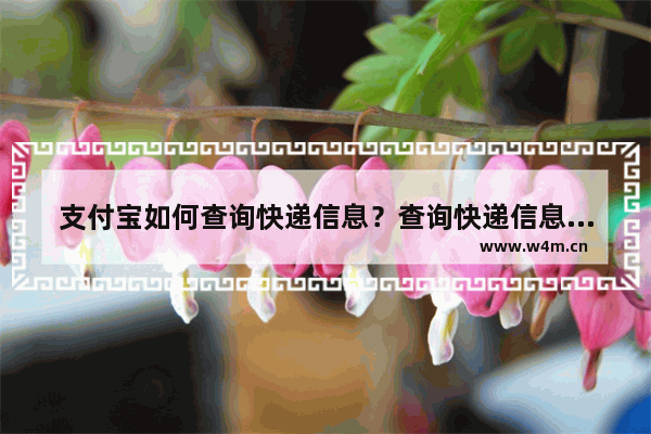 支付宝如何查询快递信息？查询快递信息流程介绍