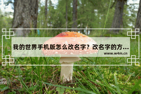 我的世界手机版怎么改名字？改名字的方法说明