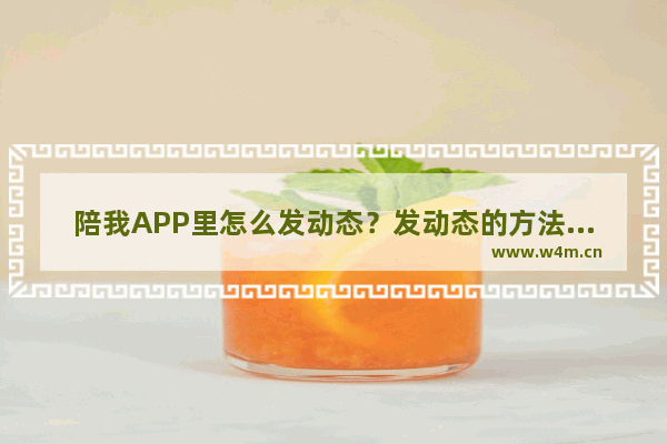 陪我APP里怎么发动态？发动态的方法介绍