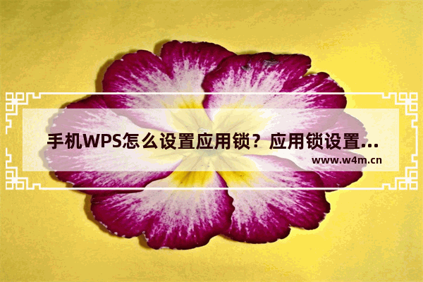 手机WPS怎么设置应用锁？应用锁设置方法说明