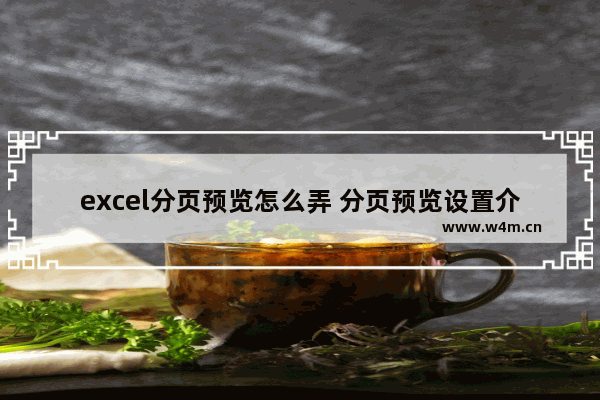 excel分页预览怎么弄 分页预览设置介绍