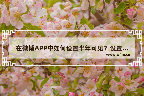 在微博APP中如何设置半年可见？设置半年可见方法说明