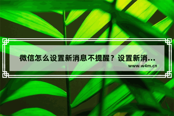 微信怎么设置新消息不提醒？设置新消息不提醒方法说明