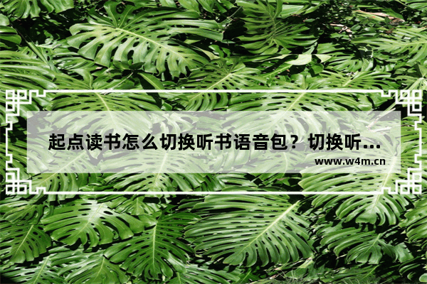 起点读书怎么切换听书语音包？切换听书语音包步骤分享