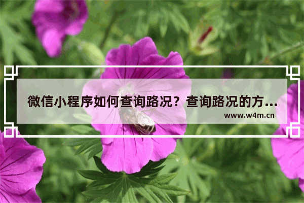 微信小程序如何查询路况？查询路况的方法说明