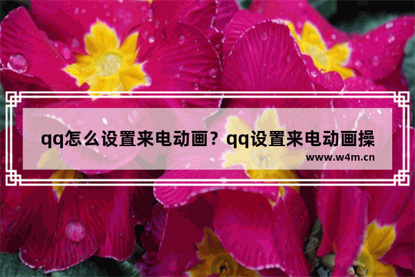 qq怎么设置来电动画？qq设置来电动画操作步骤一览