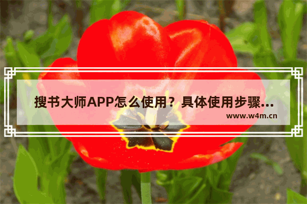 搜书大师APP怎么使用？具体使用步骤讲解