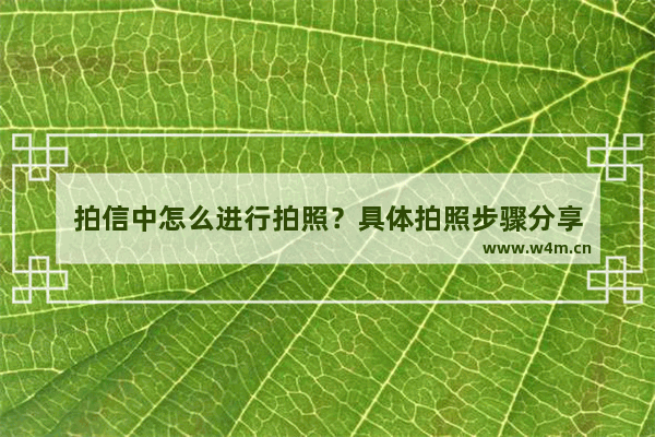 拍信中怎么进行拍照？具体拍照步骤分享