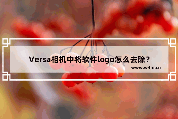 Versa相机中将软件logo怎么去除？去除logo方法说明