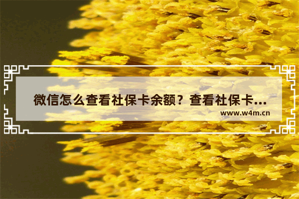 微信怎么查看社保卡余额？查看社保卡余额方法分享