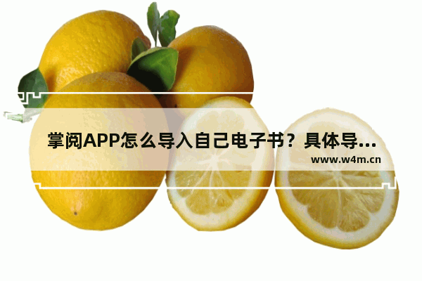 掌阅APP怎么导入自己电子书？具体导入步骤说明