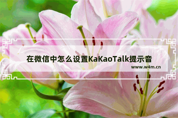 在微信中怎么设置KaKaoTalk提示音？具体设置方法介绍