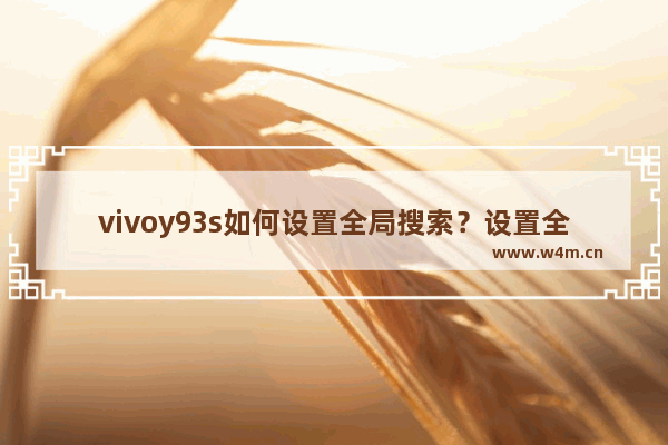 vivoy93s如何设置全局搜索？设置全局搜索的方法介绍