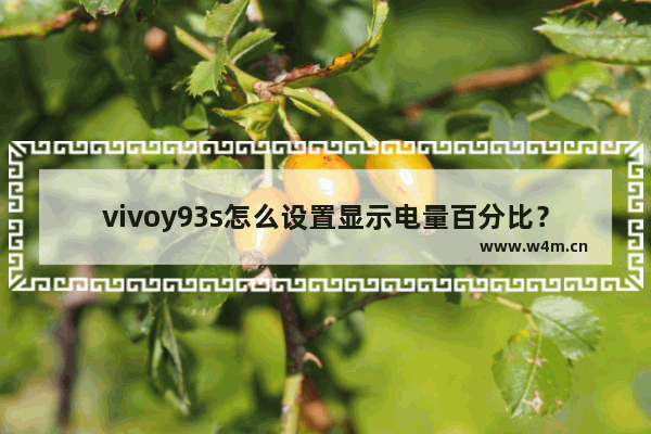 vivoy93s怎么设置显示电量百分比？设置电量百分比的方法介绍