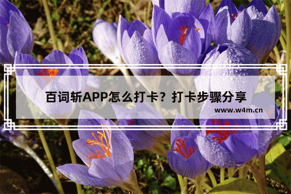 百词斩APP怎么打卡？打卡步骤分享