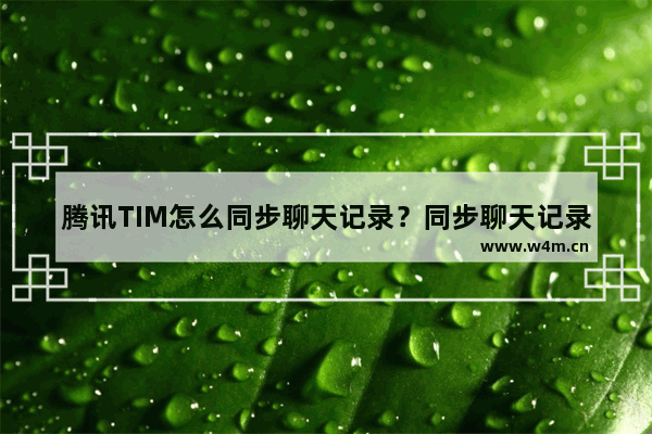 腾讯TIM怎么同步聊天记录？同步聊天记录的方法说明