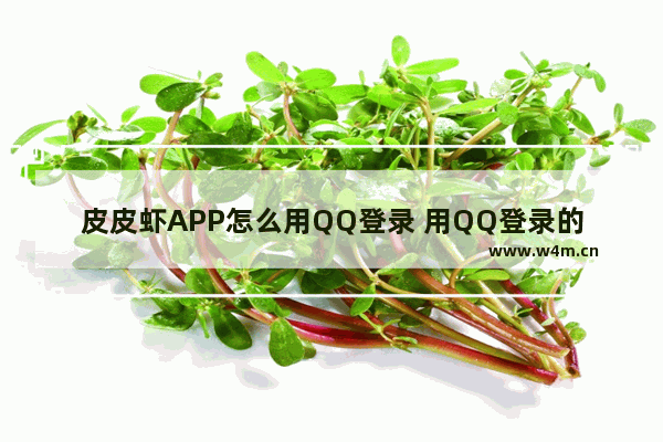 皮皮虾APP怎么用QQ登录 用QQ登录的方法说明