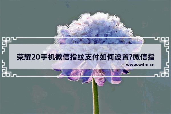 荣耀20手机微信指纹支付如何设置?微信指纹支付设置方法分享