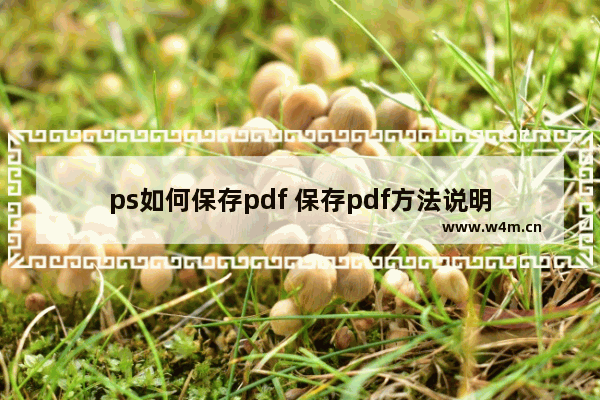 ps如何保存pdf 保存pdf方法说明