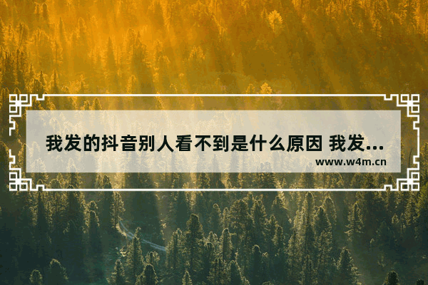 我发的抖音别人看不到是什么原因 我发的抖音别人看不到的原因说明