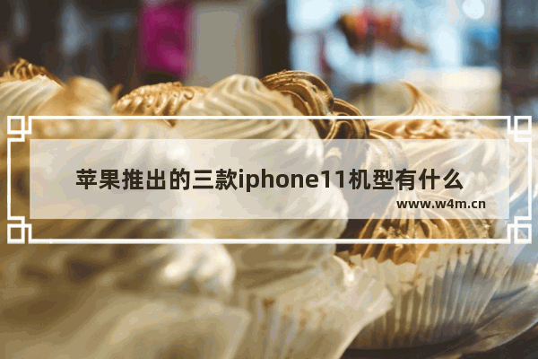 苹果推出的三款iphone11机型有什么？三款iphone11机型介绍