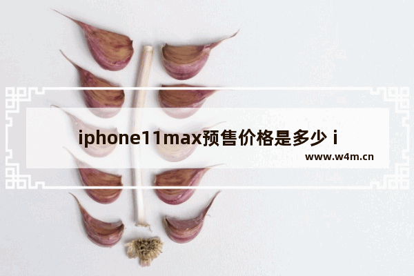 iphone11max预售价格是多少 iphone11max预估价格具体说明