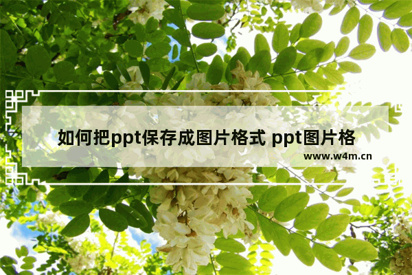 如何把ppt保存成图片格式 ppt图片格式保存方法说明