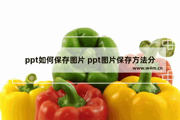 ppt如何保存图片 ppt图片保存方法分享