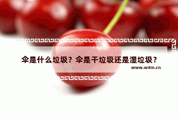 伞是什么垃圾？伞是干垃圾还是湿垃圾？