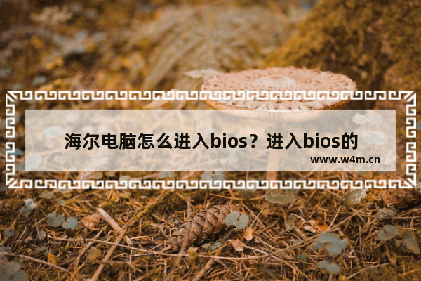 海尔电脑怎么进入bios？进入bios的方法介绍