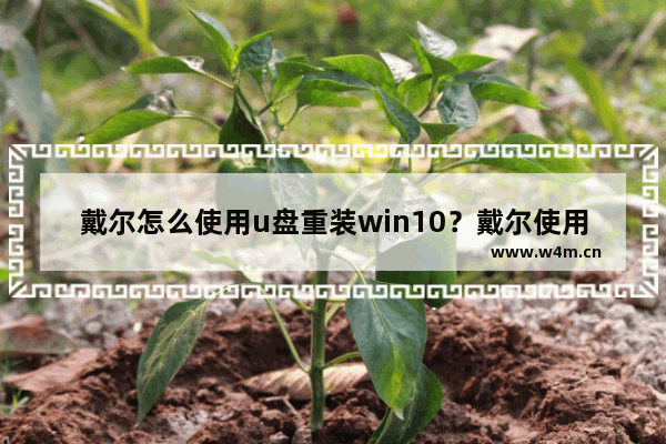 戴尔怎么使用u盘重装win10？戴尔使用u盘重装win10系统的方法分享