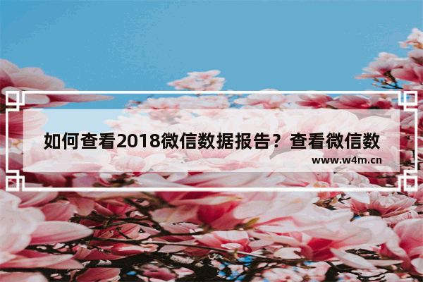 如何查看2018微信数据报告？查看微信数据报告方法介绍