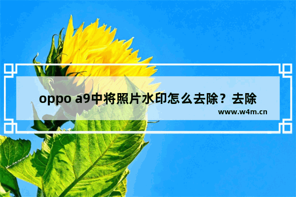 oppo a9中将照片水印怎么去除？去除水印的方法分享