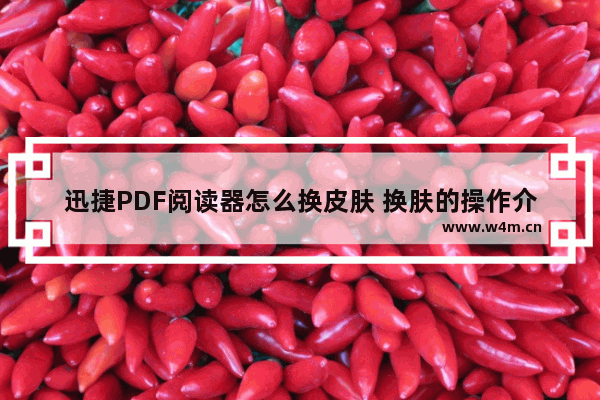 迅捷PDF阅读器怎么换皮肤 换肤的操作介绍