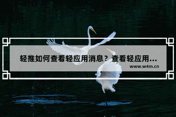 轻推如何查看轻应用消息？查看轻应用消息方法介绍