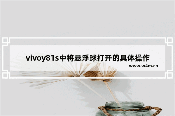 vivoy81s中将悬浮球打开的具体操作方法