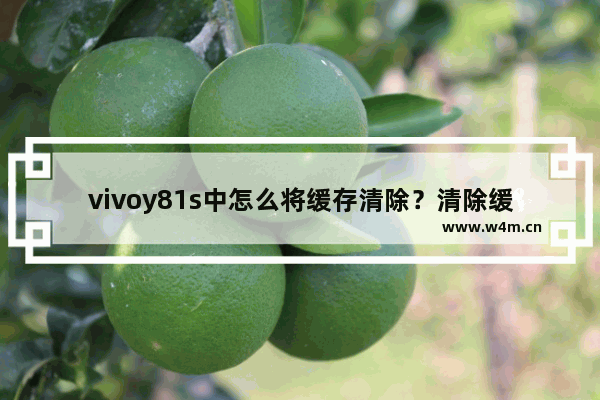 vivoy81s中怎么将缓存清除？清除缓存的方法介绍