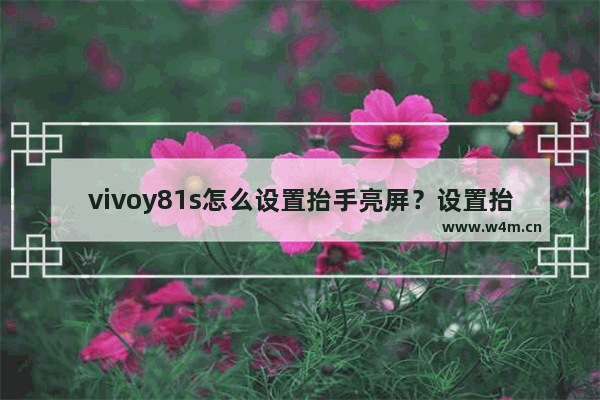 vivoy81s怎么设置抬手亮屏？设置抬手亮屏的方法分享