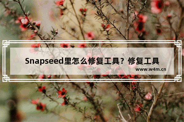 Snapseed里怎么修复工具？修复工具的使用方法介绍