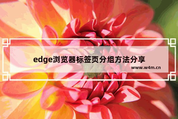 edge浏览器标签页分组方法分享