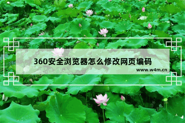 360安全浏览器怎么修改网页编码