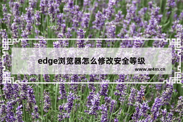 edge浏览器怎么修改安全等级