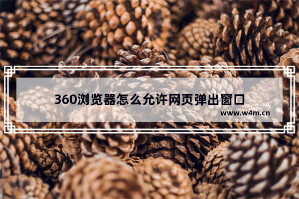 360浏览器怎么允许网页弹出窗口