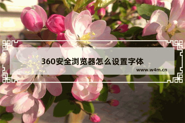 360安全浏览器怎么设置字体