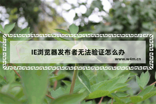 IE浏览器发布者无法验证怎么办