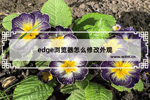 edge浏览器怎么修改外观