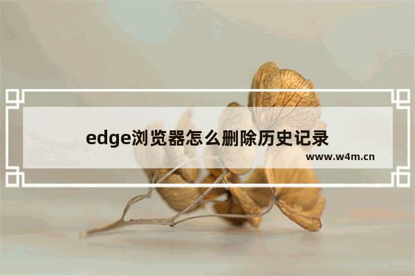 edge浏览器怎么删除历史记录