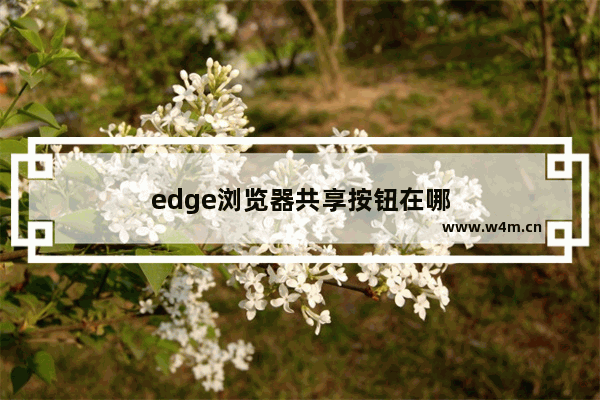 edge浏览器共享按钮在哪